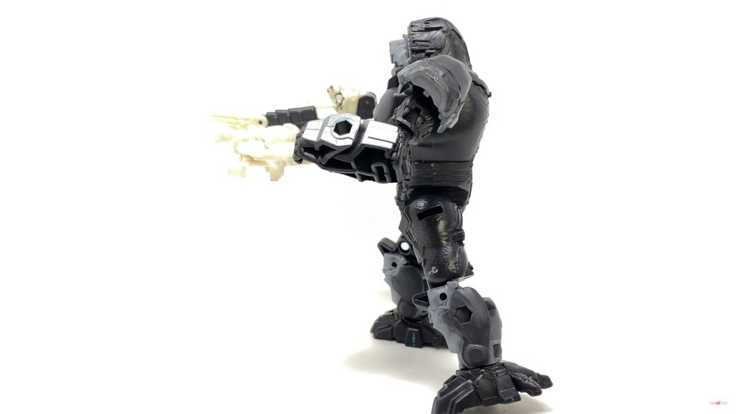 Transformers Rise Of The Beasts Optimus Primal Tigatron In Hand Image  (33 of 35)